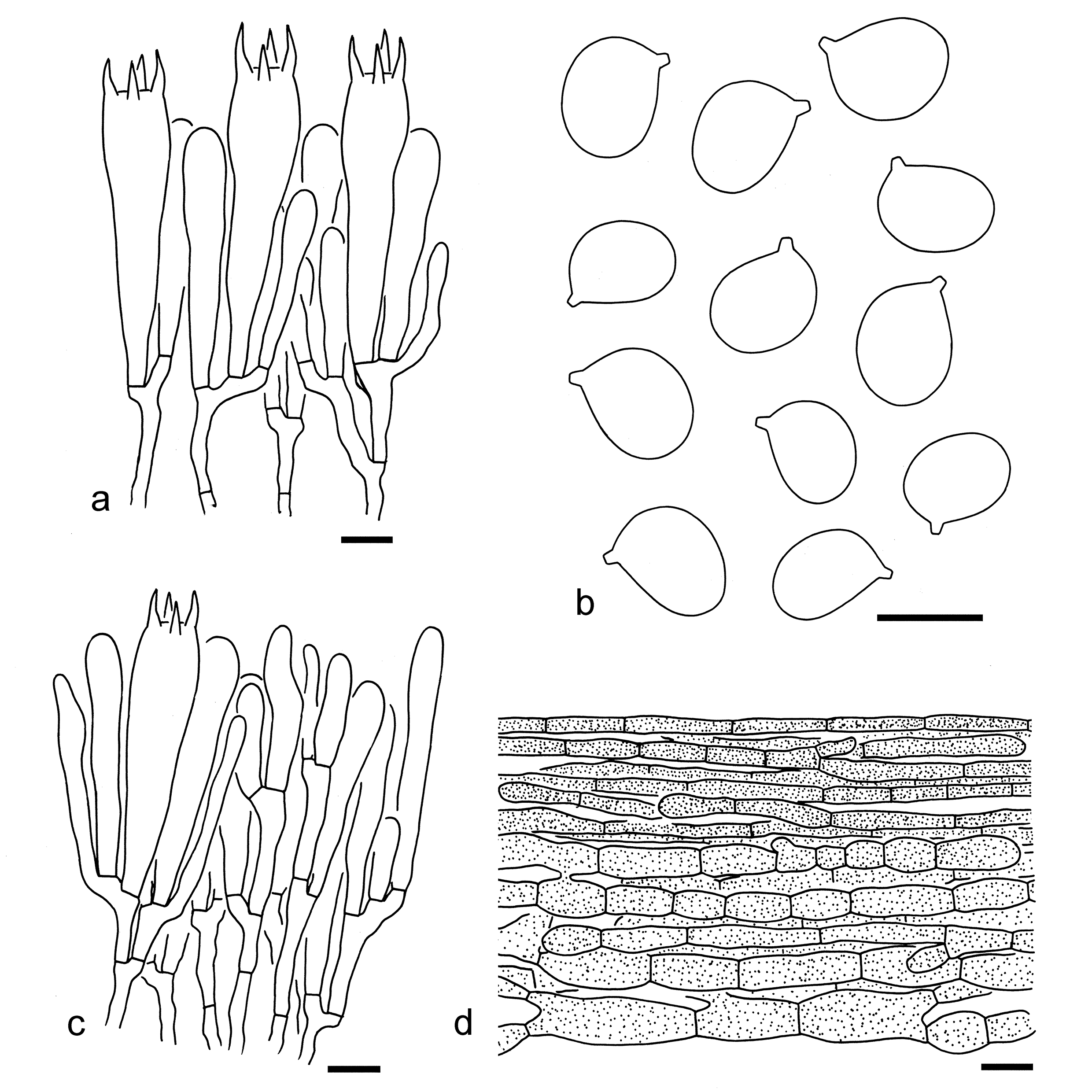 Figure 99